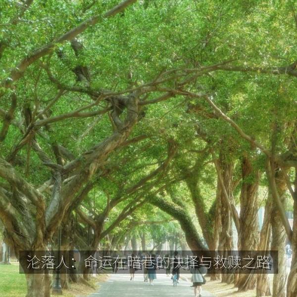 沦落人：命运在暗巷的抉择与救赎之路